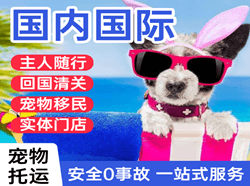 龙湾空运地址国际宠物托运 【国